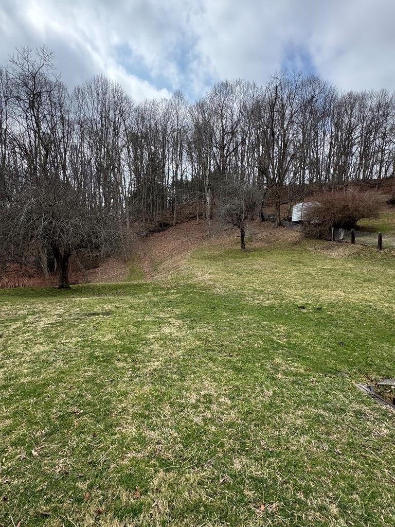 477-479 Abney Road Coal City, WV 25813 - Photo 3 of 33 Gallery Image 3