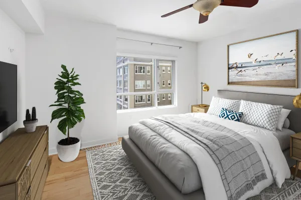 a bedroom with a large bed plant and a window