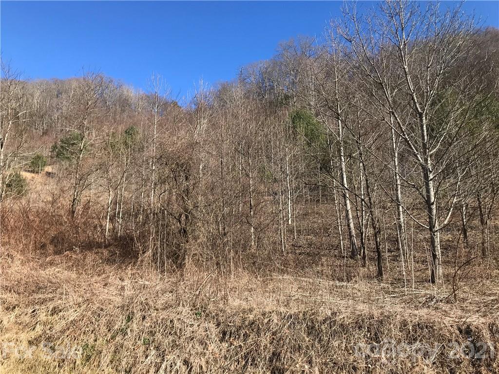 5110 Liner Creek Road Clyde, NC 28721 - Photo 1 of 15 a view of a yard