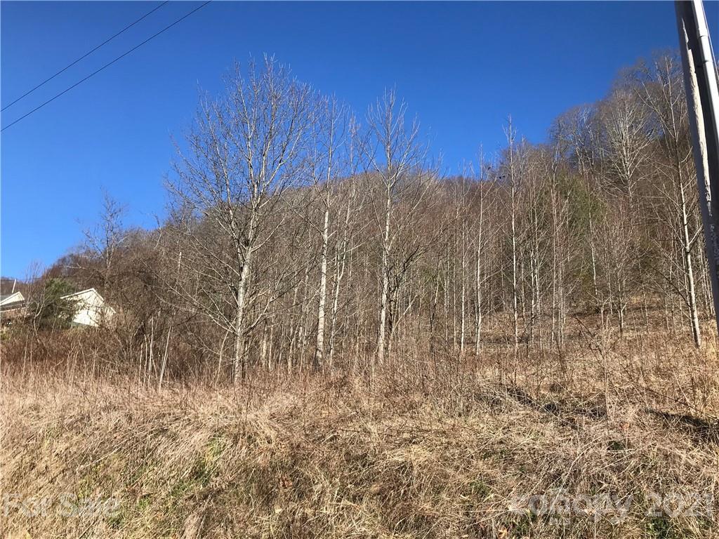 5110 Liner Creek Road Clyde, NC 28721 - Photo 2 of 15 a view of a dry yard with trees in the background