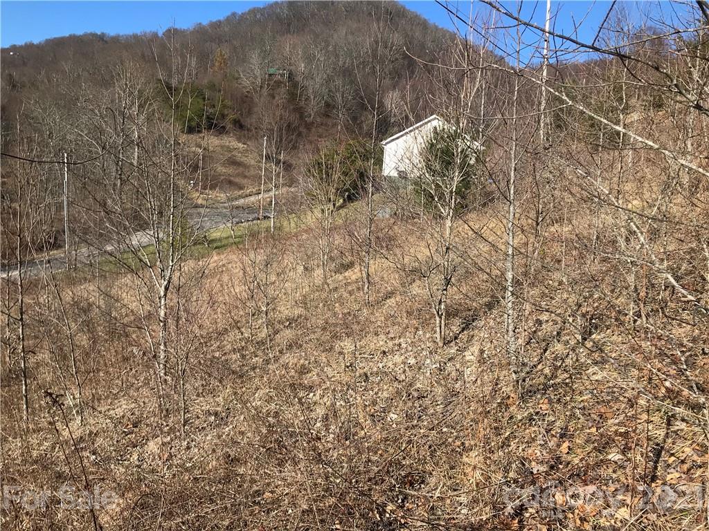 5110 Liner Creek Road Clyde, NC 28721 - Photo 12 of 15 a backyard of a house