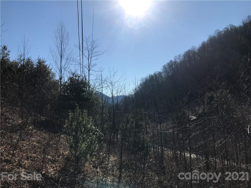 5110 Liner Creek Road Clyde, NC 28721 - Photo 13 of 15 a view of a yard