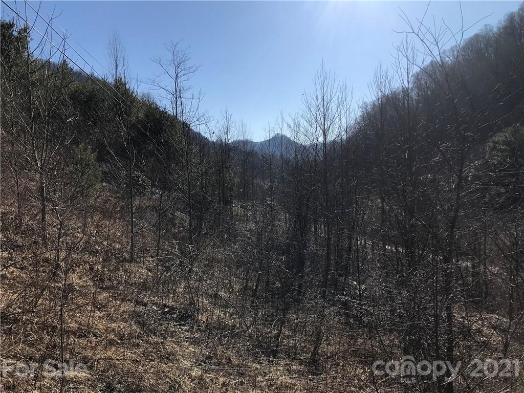 5110 Liner Creek Road Clyde, NC 28721 - Photo 14 of 15