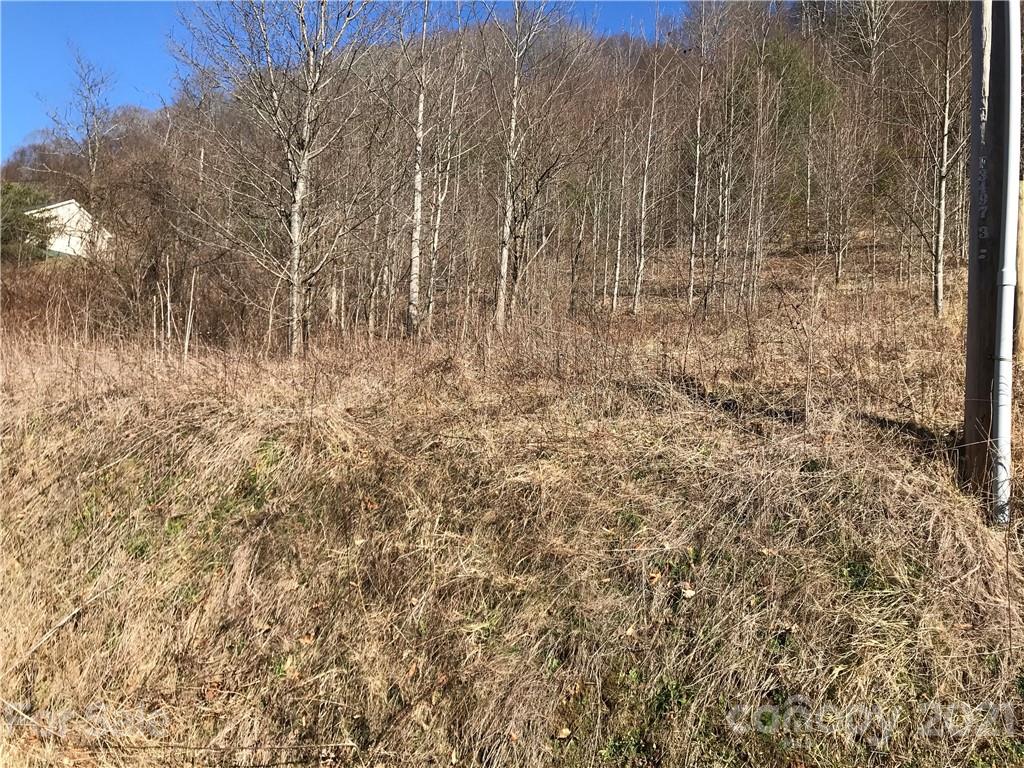 5110 Liner Creek Road Clyde, NC 28721 - Photo 3 of 15 a view of a yard
