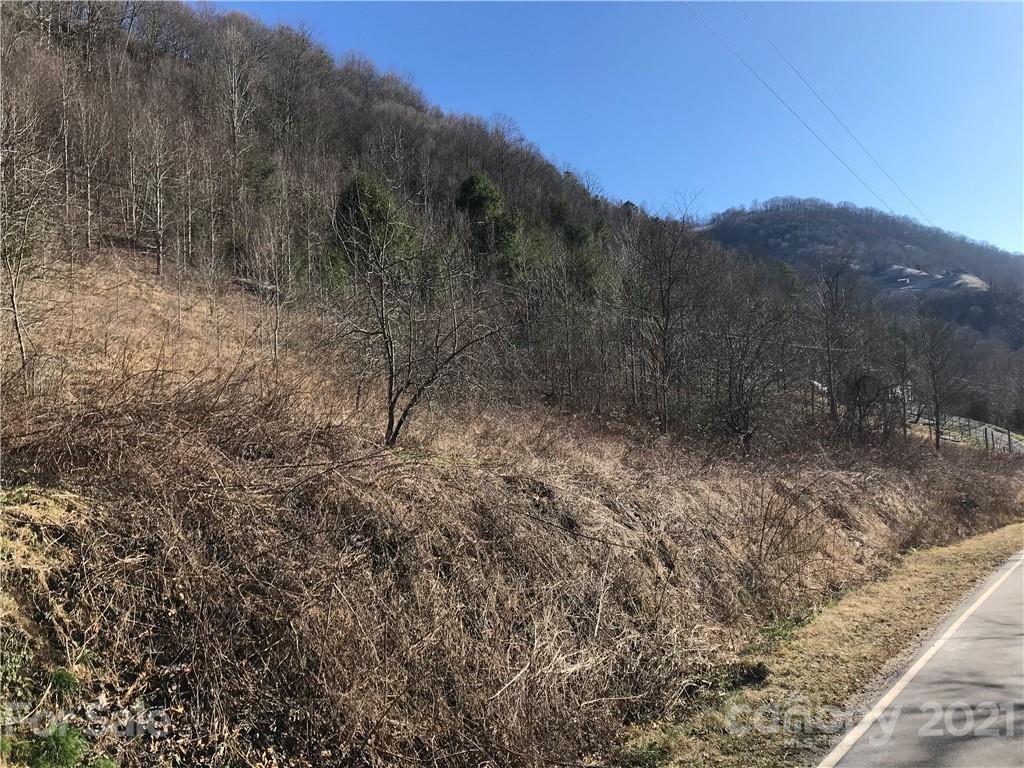 5110 Liner Creek Road Clyde, NC 28721 - Photo 6 of 15 a view of a forest with a mountain in the background