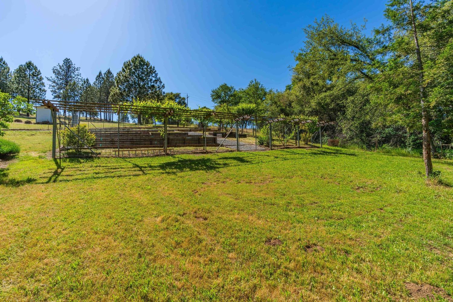 6650 Starlight Lane Mountain Ranch, CA 95246 - Photo 11 of 30