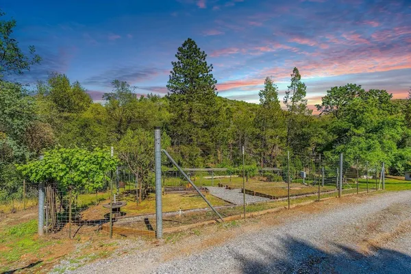 a view of a yard with a mountain and mountain view in back