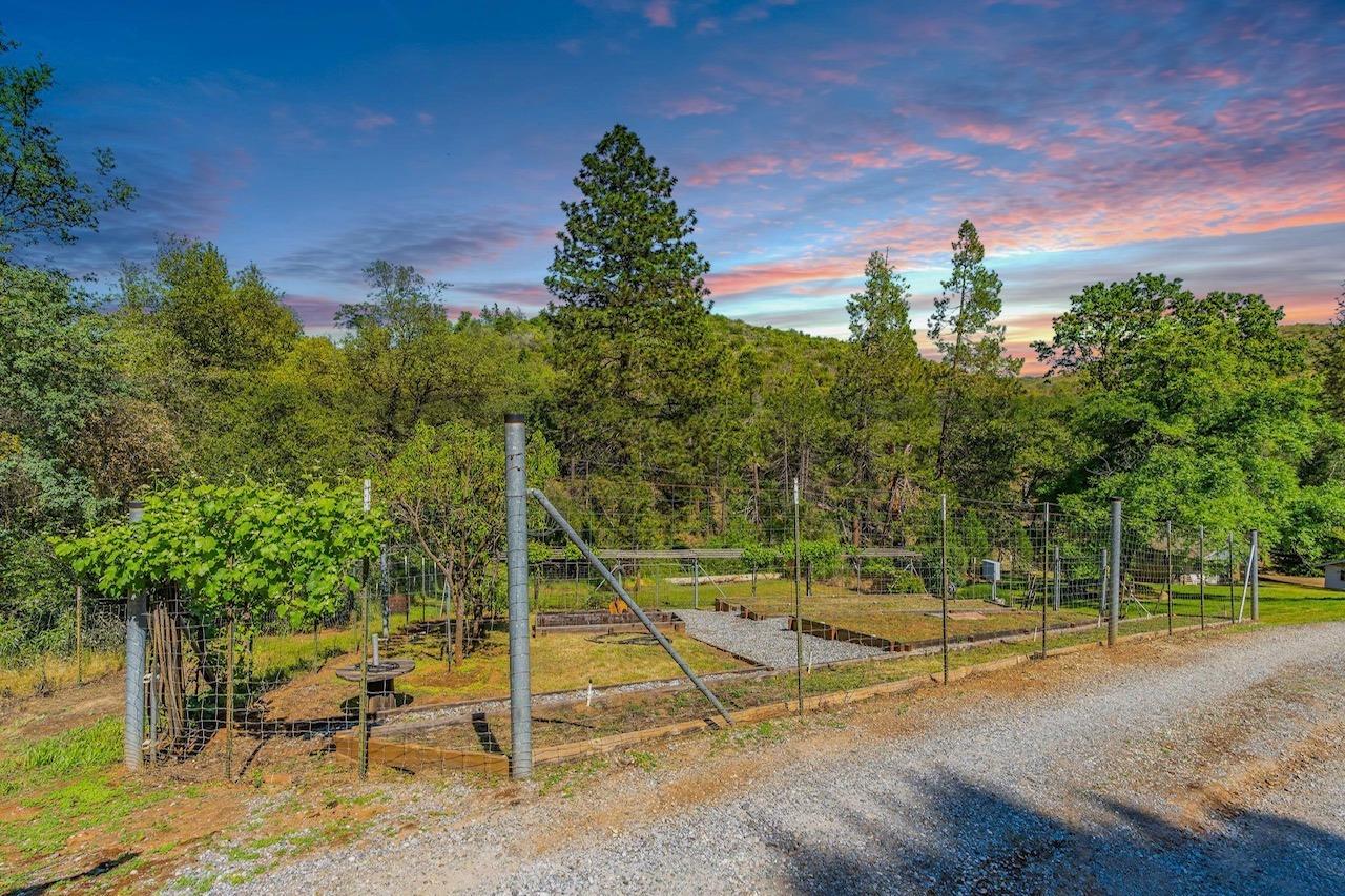 6650 Starlight Lane Mountain Ranch, CA 95246 - Photo 12 of 30 a view of a basketball court