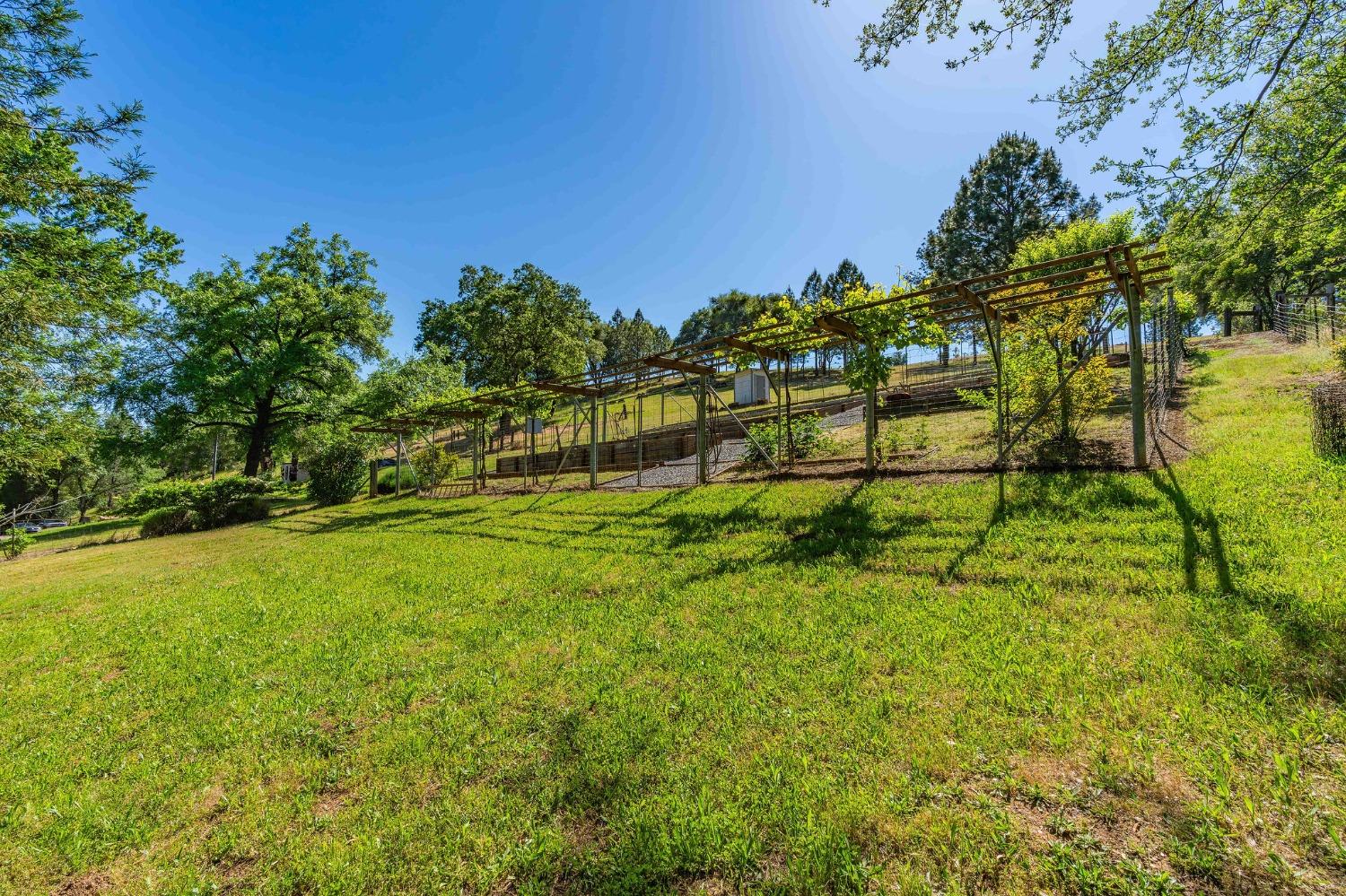 6650 Starlight Lane Mountain Ranch, CA 95246 - Photo 18 of 30