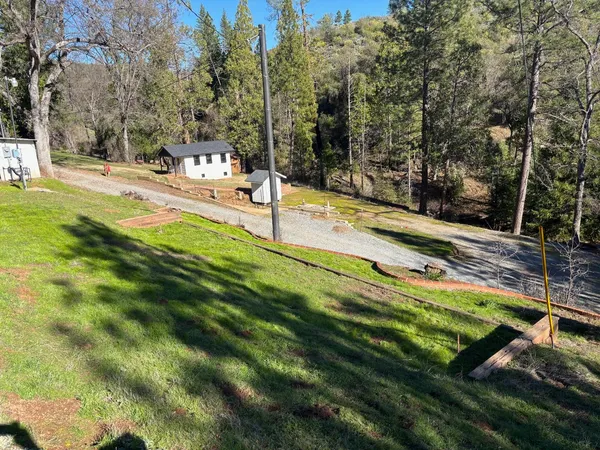 a view of a yard with trees in the background