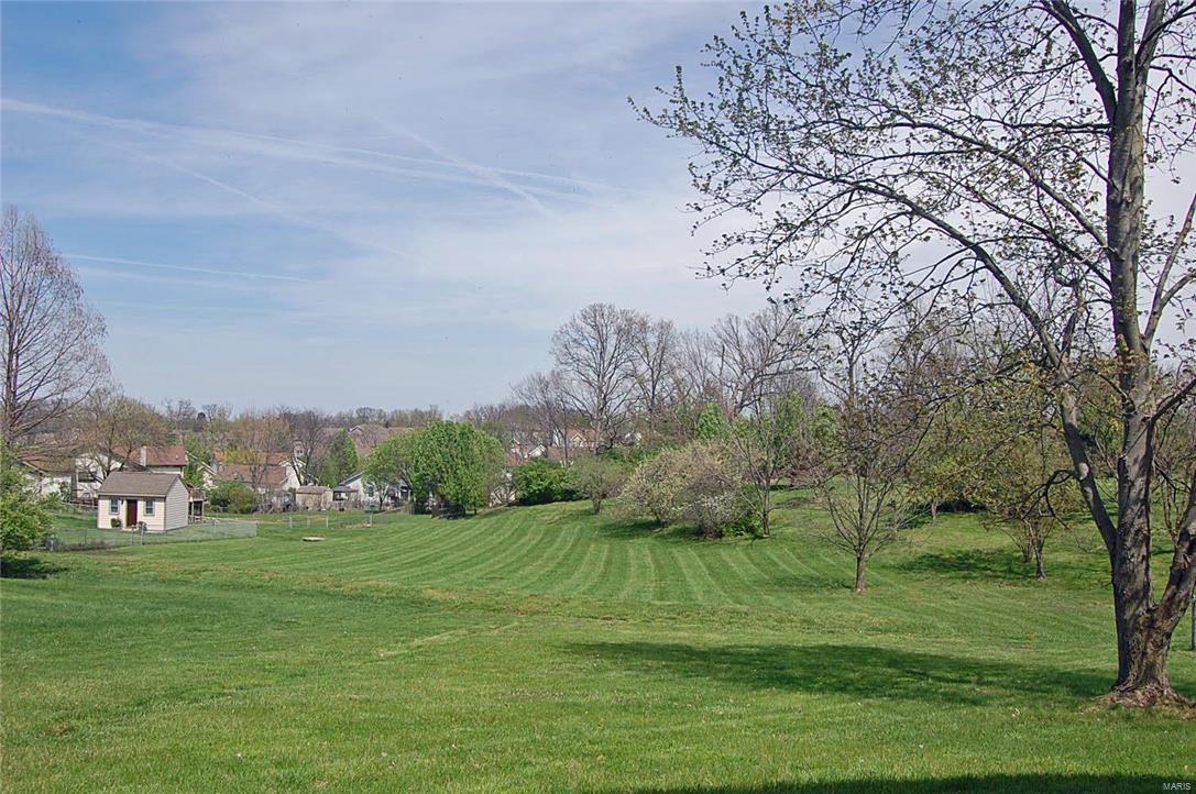 1727 Smizer Mill Road Fenton, MO 63026 - Photo 19 of 20 Gallery Image 19