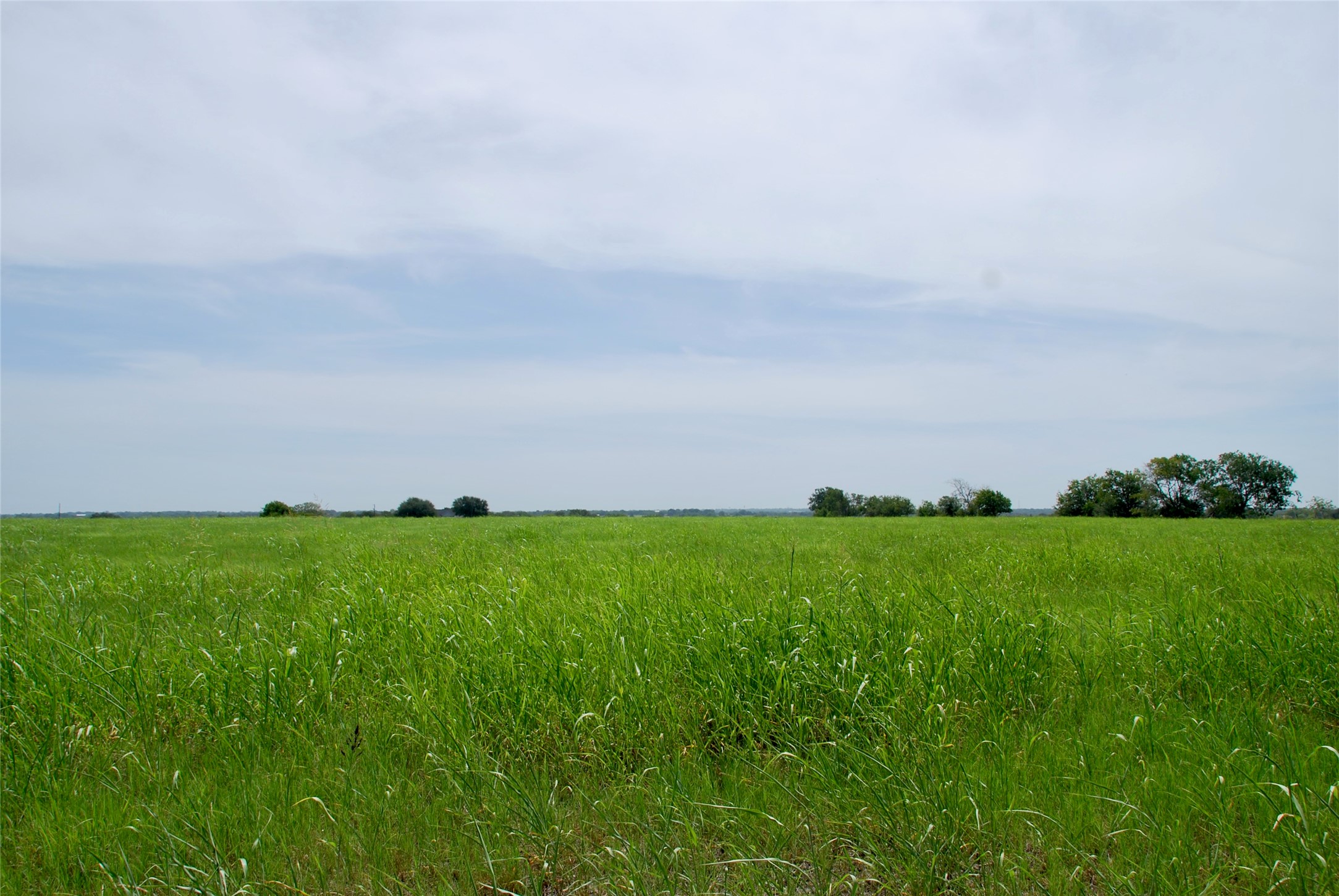 4 Company Field Road Schulenburg, TX 78956 - Photo 13 of 16 a view of a field and trees