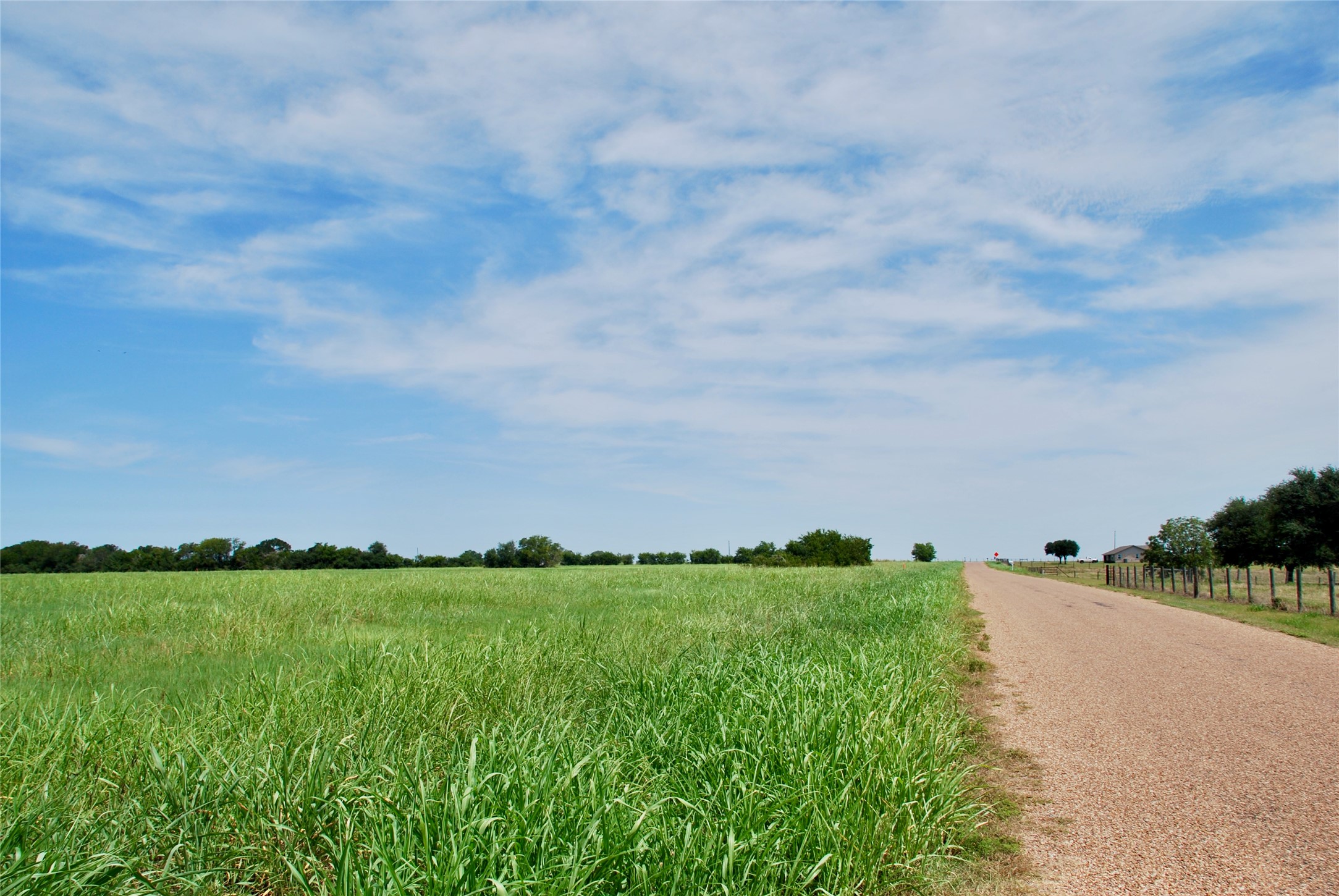 4 Company Field Road Schulenburg, TX 78956 - Photo 15 of 16 a view of a grassy field