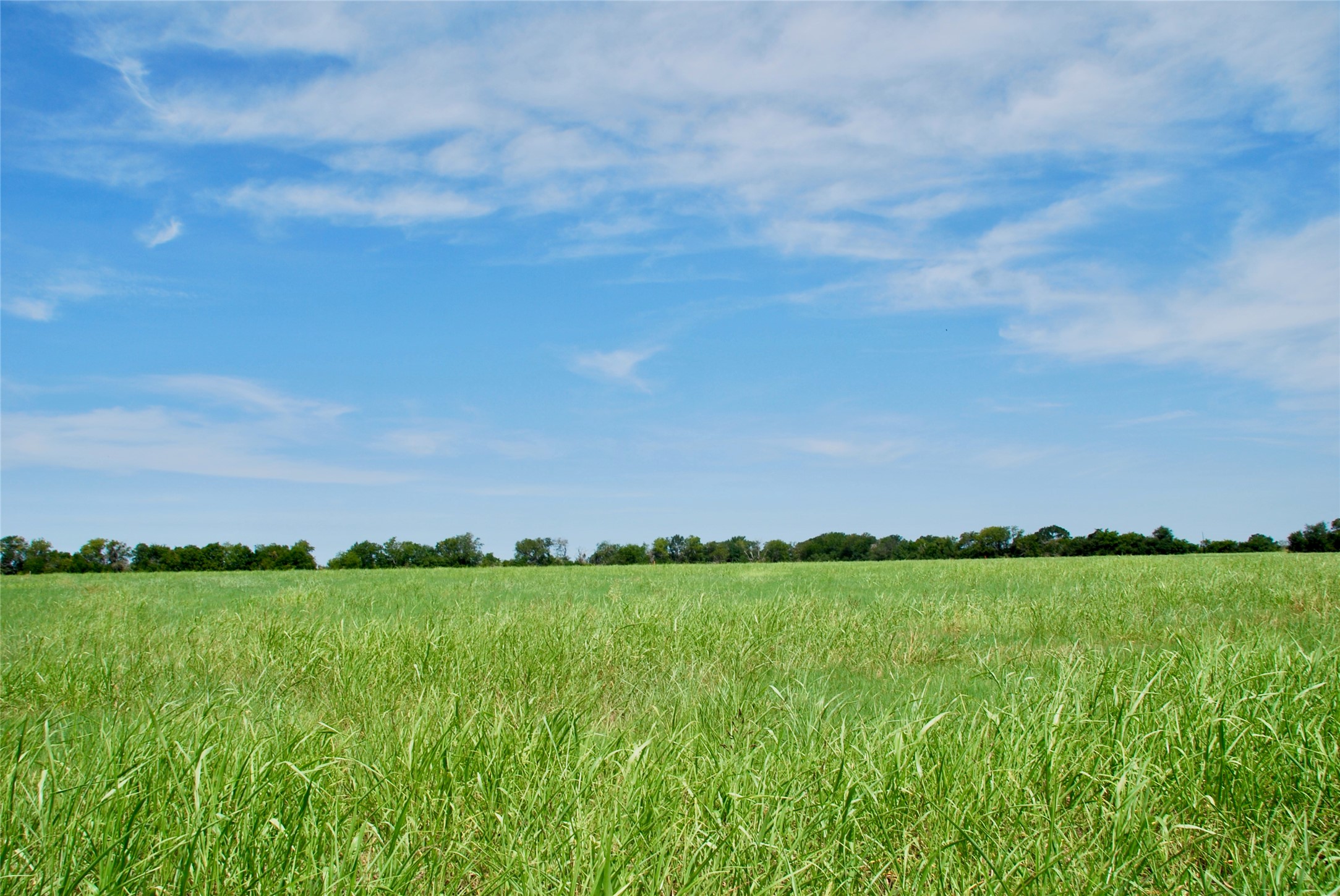 4 Company Field Road Schulenburg, TX 78956 - Photo 16 of 16 a view of a grassy field
