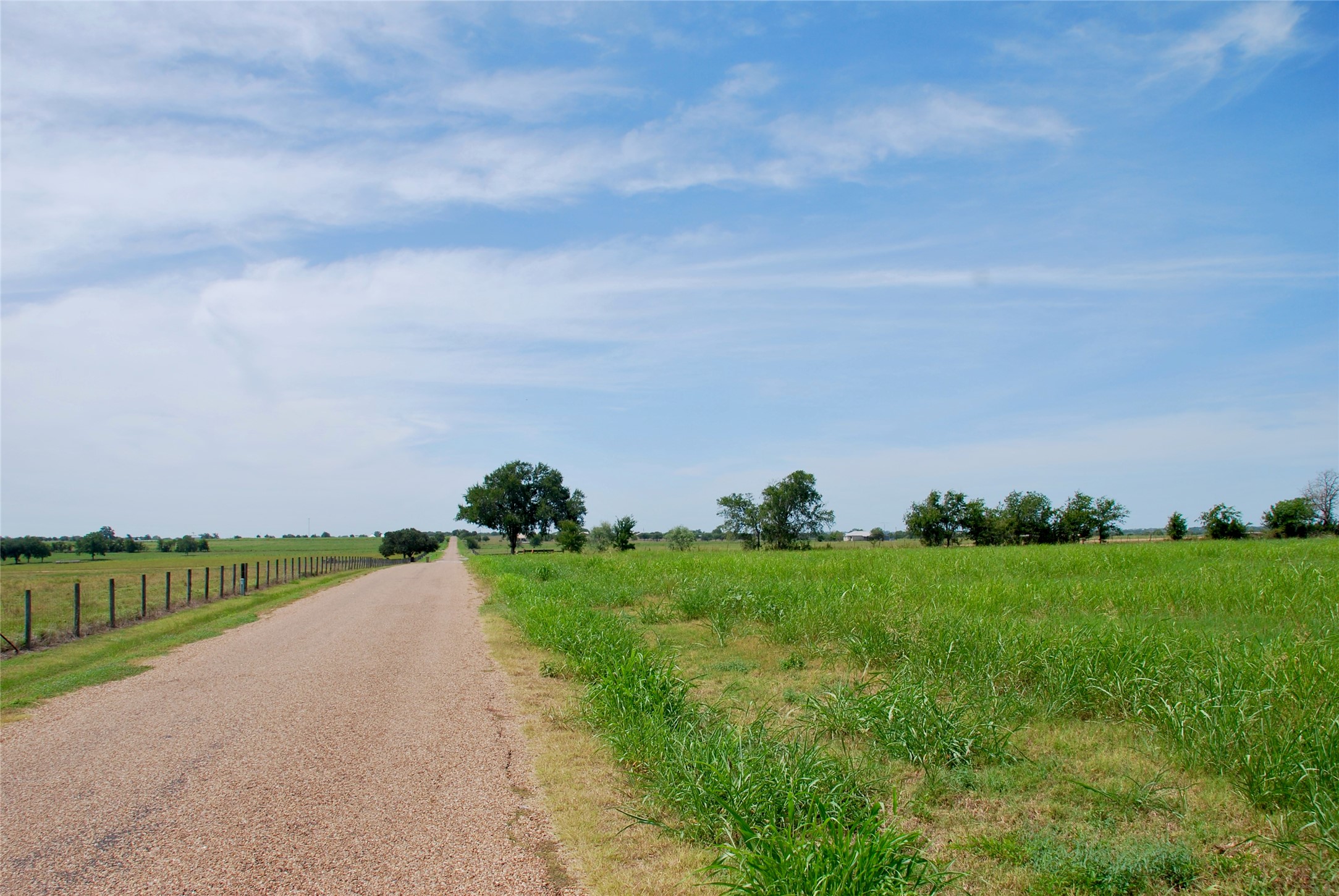 4 Company Field Road Schulenburg, TX 78956 - Photo 2 of 16 a view of a big yard with a house in background