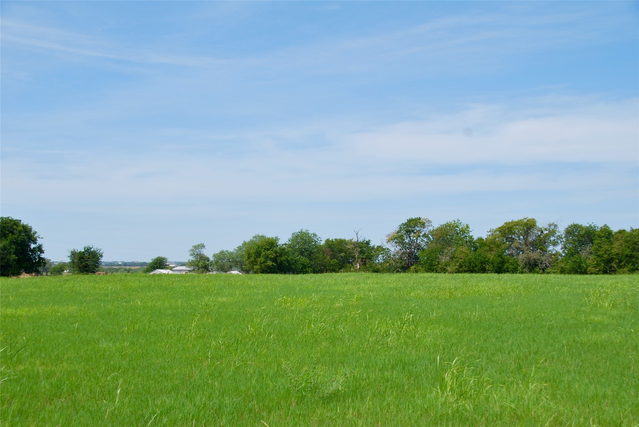 4 Company Field Road Schulenburg, TX 78956 - Photo 3 of 16 a view of a grassy field