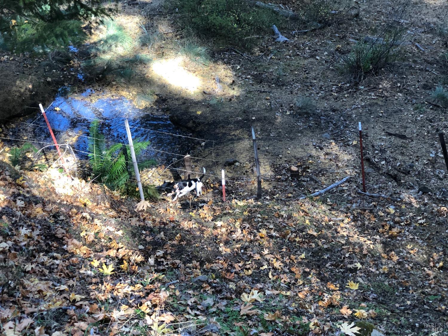 55685 Registered Guest Road Laytonville, CA 95454 - Photo 9 of 9
