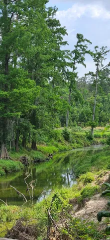 $3,000 | 3543 Rocky Terrain Drive, Spring, TX 77373