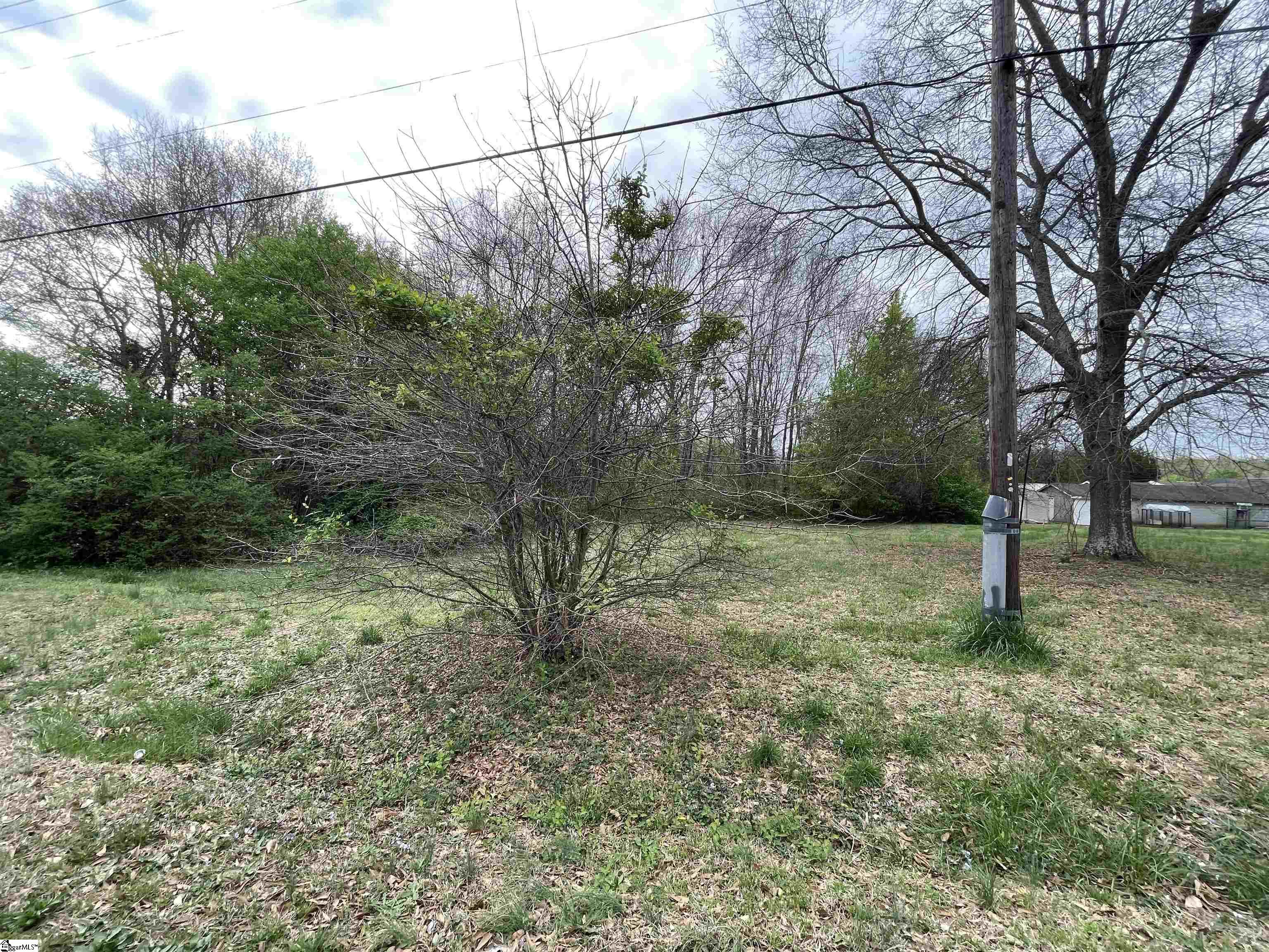 0 Ellen Street Anderson, SC 29624 - Photo 5 of 6