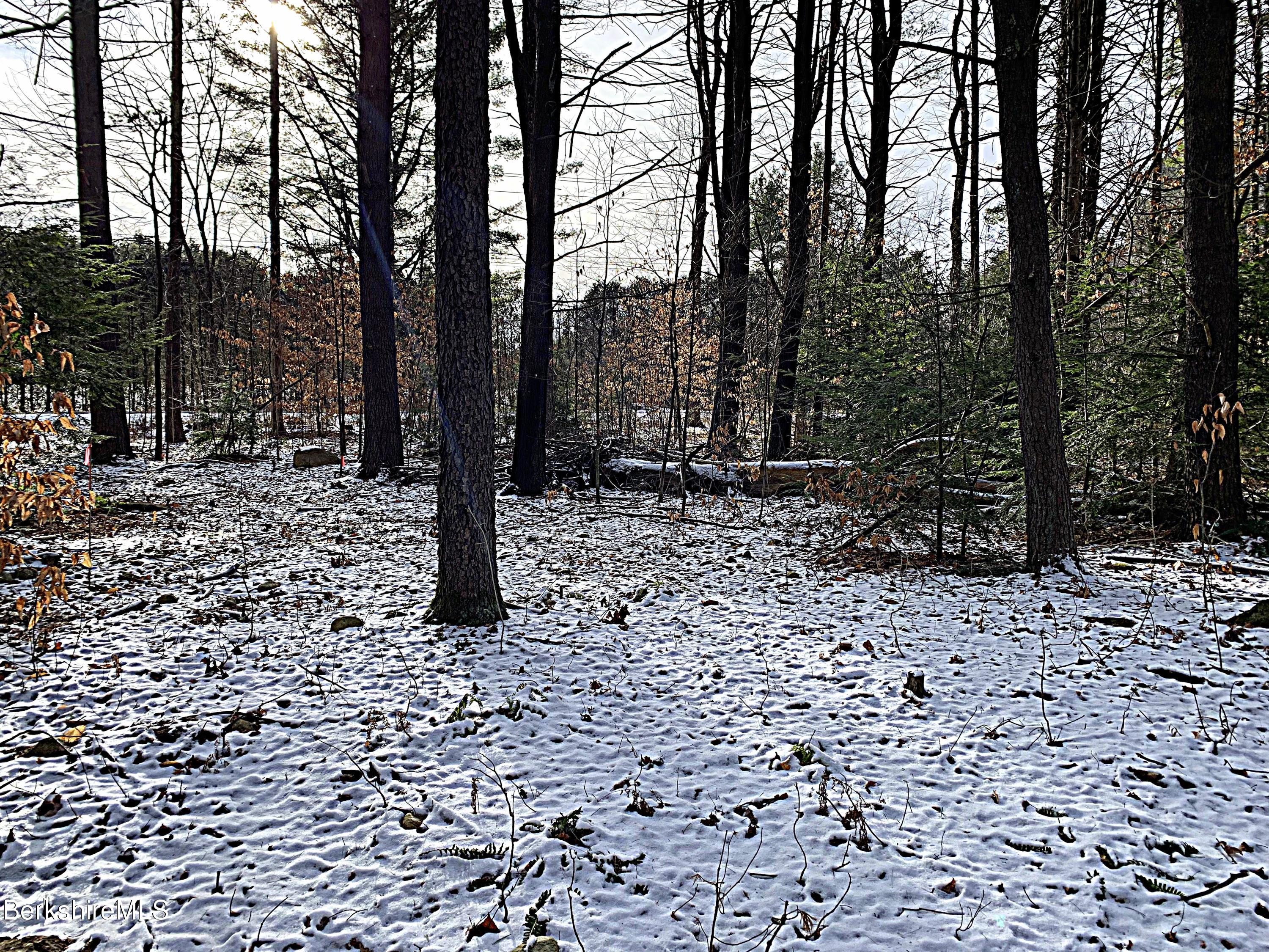 0 Reservoir Road Otis, MA 01253 - Photo 2 of 9 a backyard of a house with lots of green space