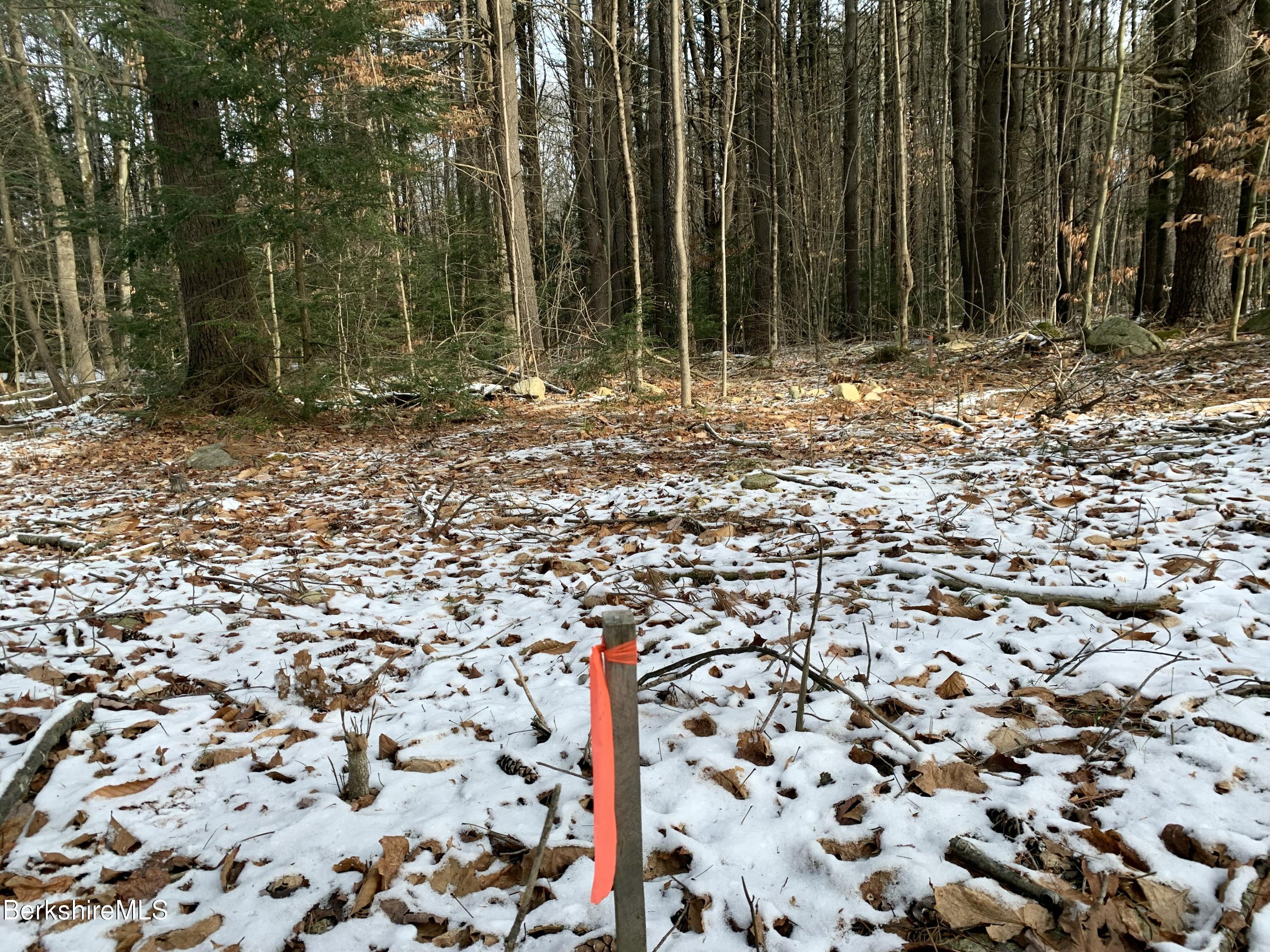 0 Reservoir Road Otis, MA 01253 - Photo 8 of 9 a view of a backyard of a house
