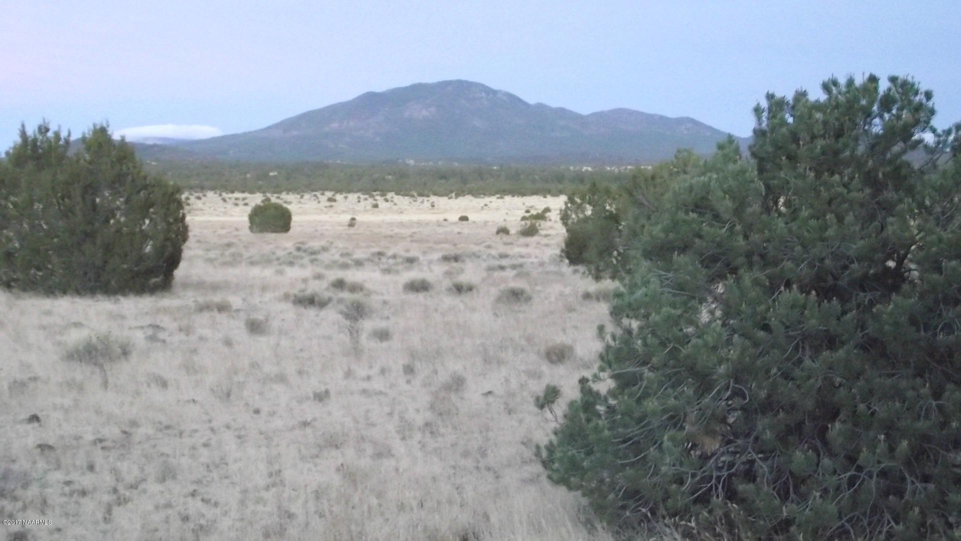 4836 Red Mountain Road Williams, AZ 86046 - Photo 1 of 11 Property View