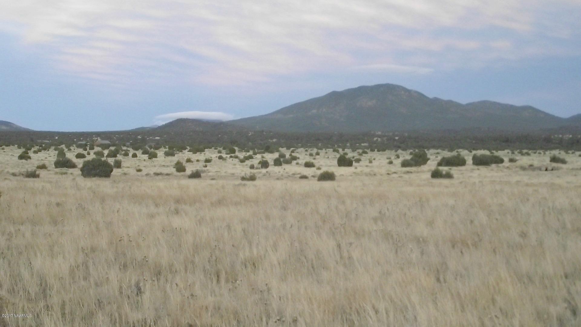4836 Red Mountain Road Williams, AZ 86046 - Photo 3 of 11 DSCF0234