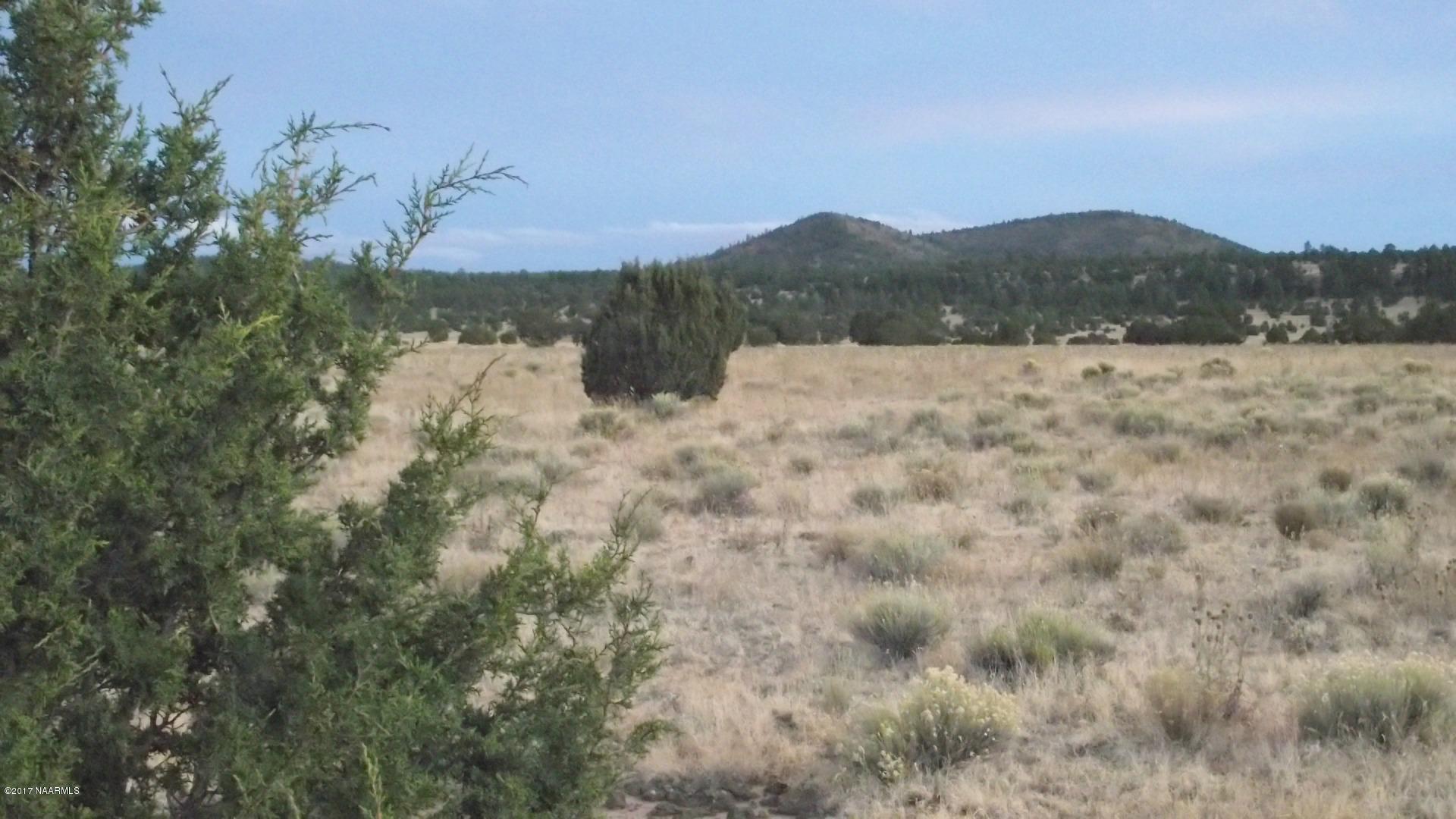 4836 Red Mountain Road Williams, AZ 86046 - Photo 5 of 11 DSCF0236