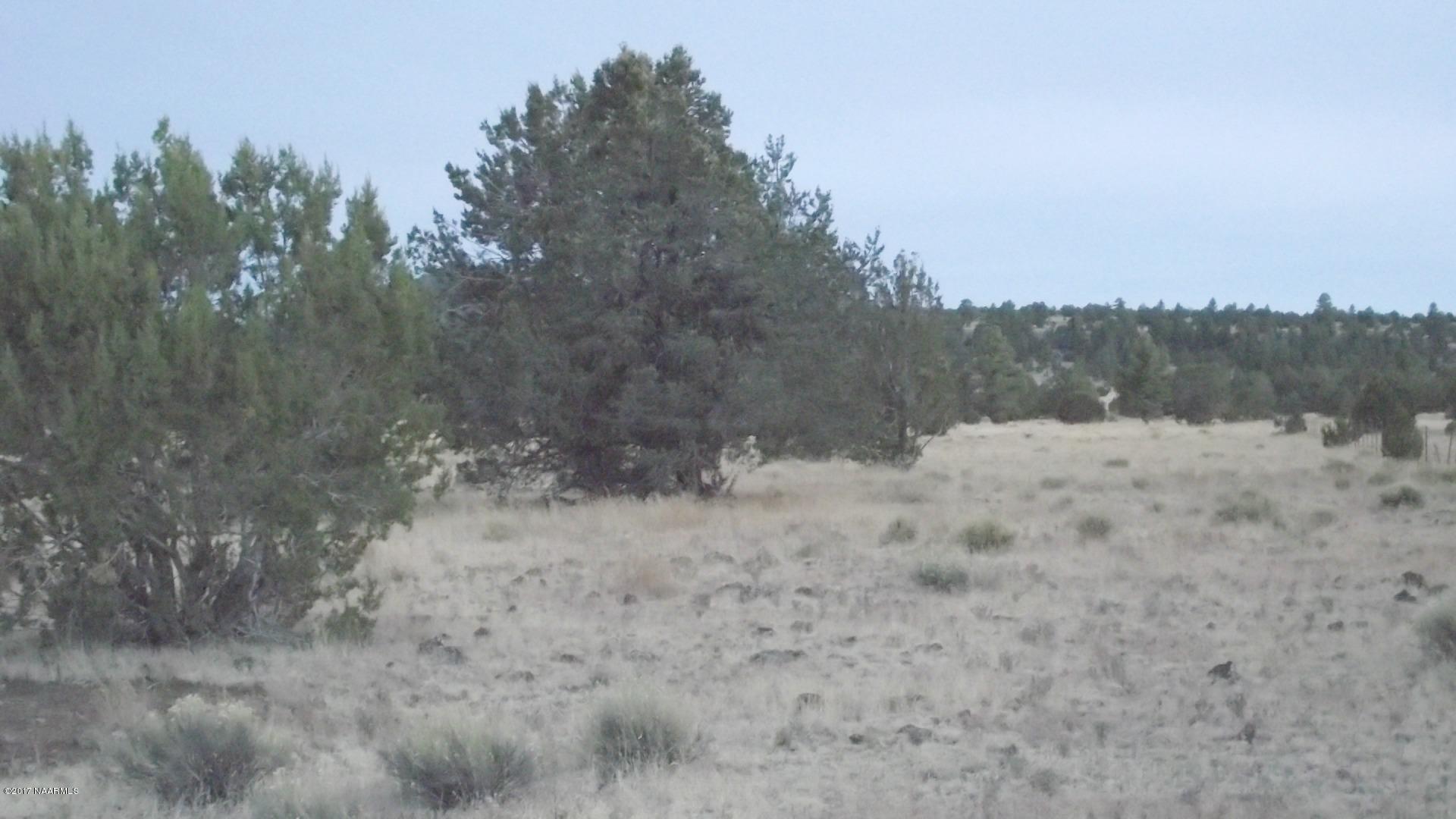 4836 Red Mountain Road Williams, AZ 86046 - Photo 8 of 11 DSCF0239
