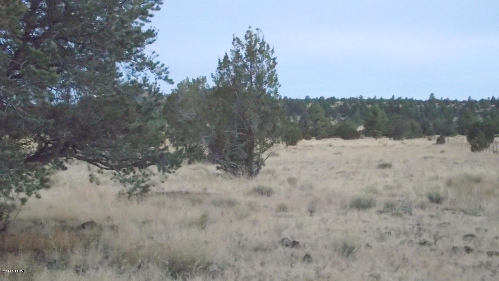 4836 Red Mountain Road Williams, AZ 86046 - Photo 9 of 11 DSCF0240