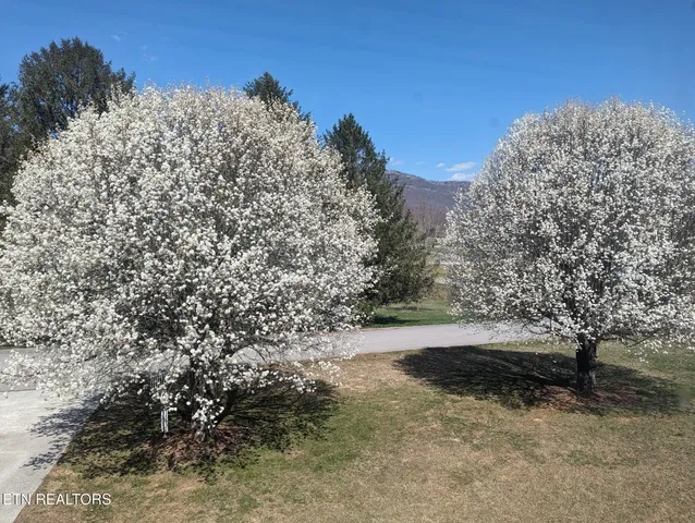 $417,000 | 113 Thacker Drive, La Follette, TN 37766