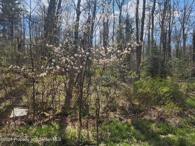 $42,900 | Ridge Street, Moscow, PA 18444