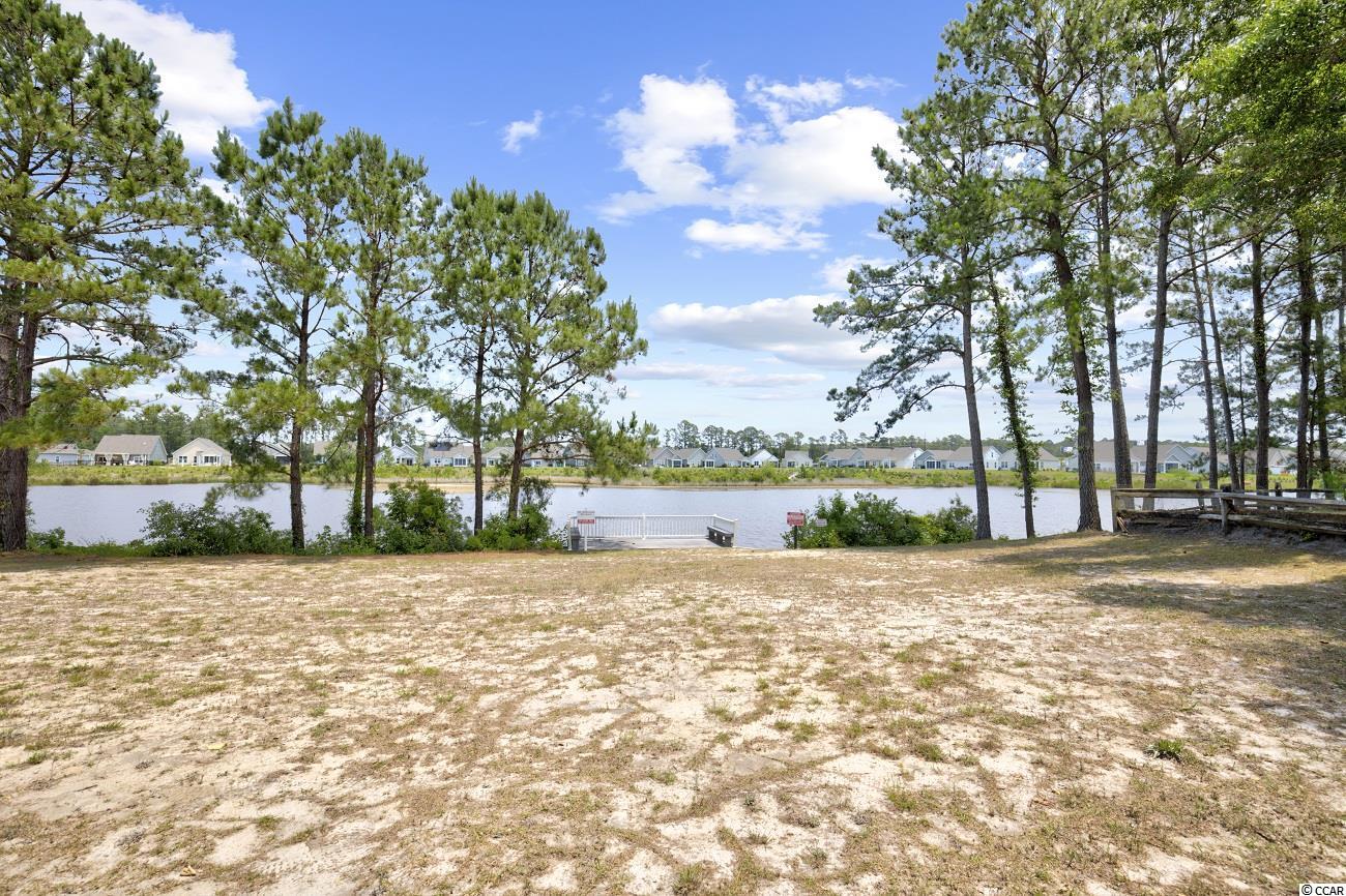 9264 Greeneedle Place Murrells Inlet, SC 29576 - Photo 26 of 27 Gallery Image 26