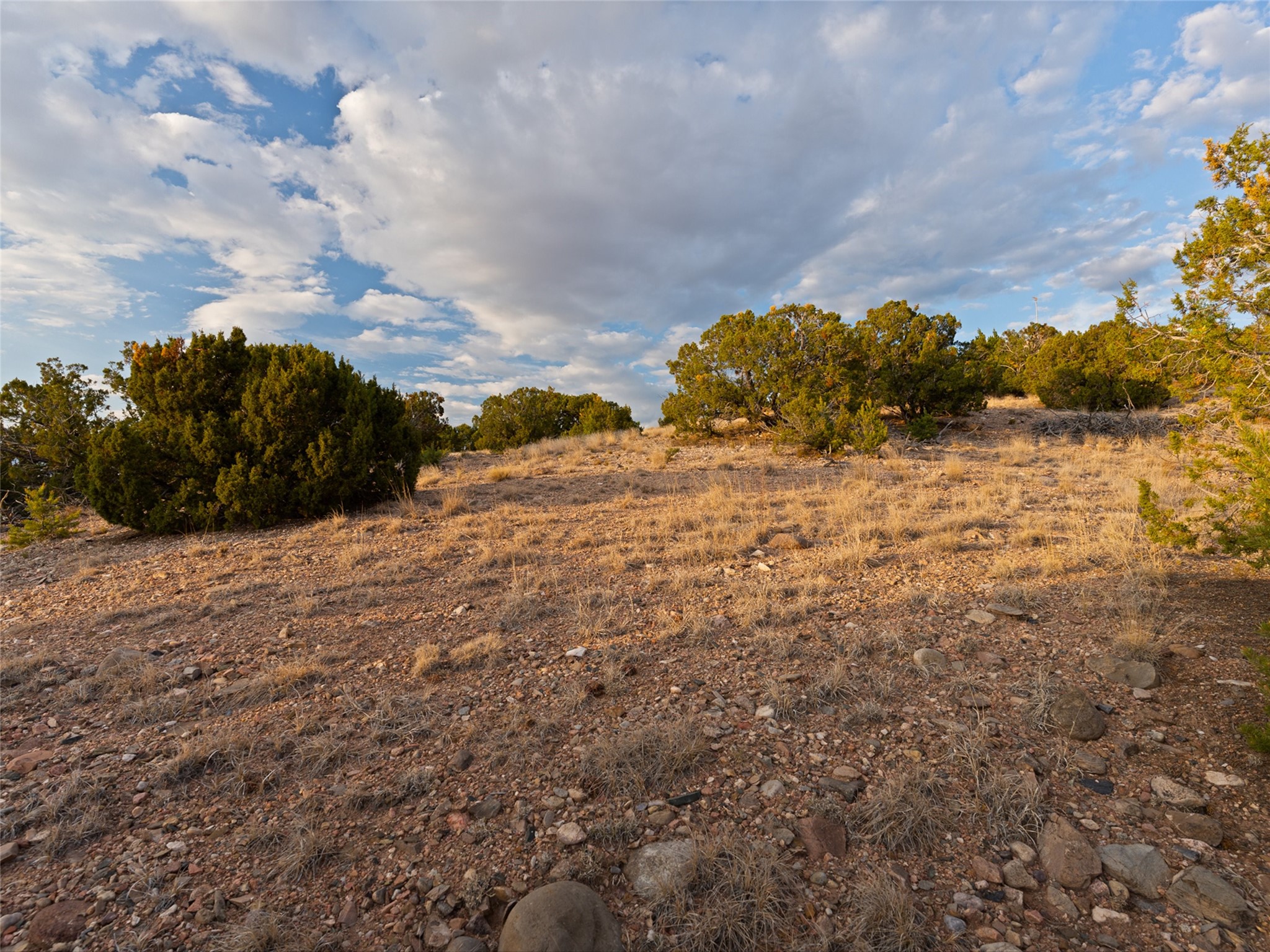 7 Las Katrinas Road Santa Fe, NM 87506 - Photo 8 of 34