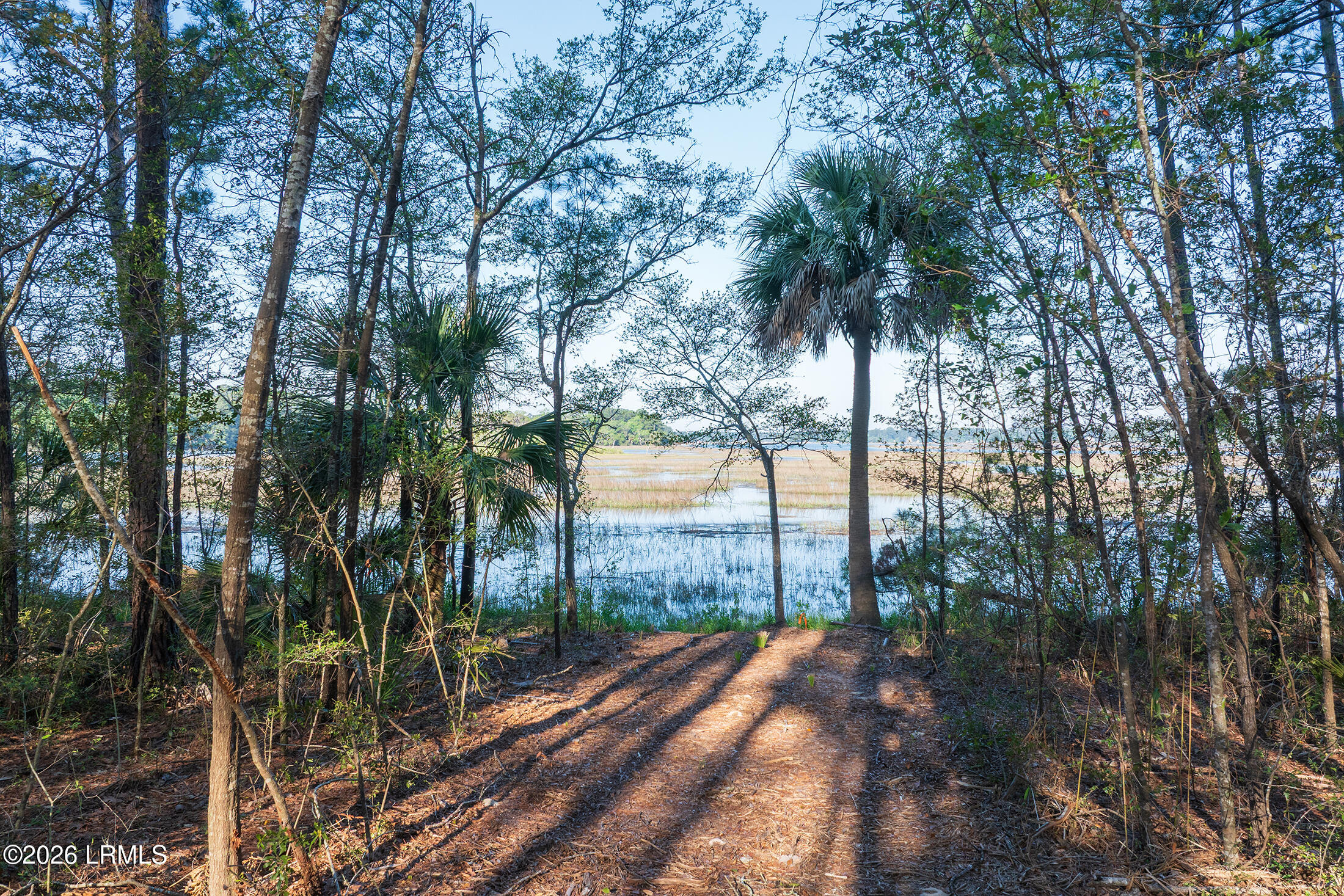 509 State Rd S-7-50 Okatie, SC 29909 - Photo 8 of 24 DJI_20260514083804_0049_D copy