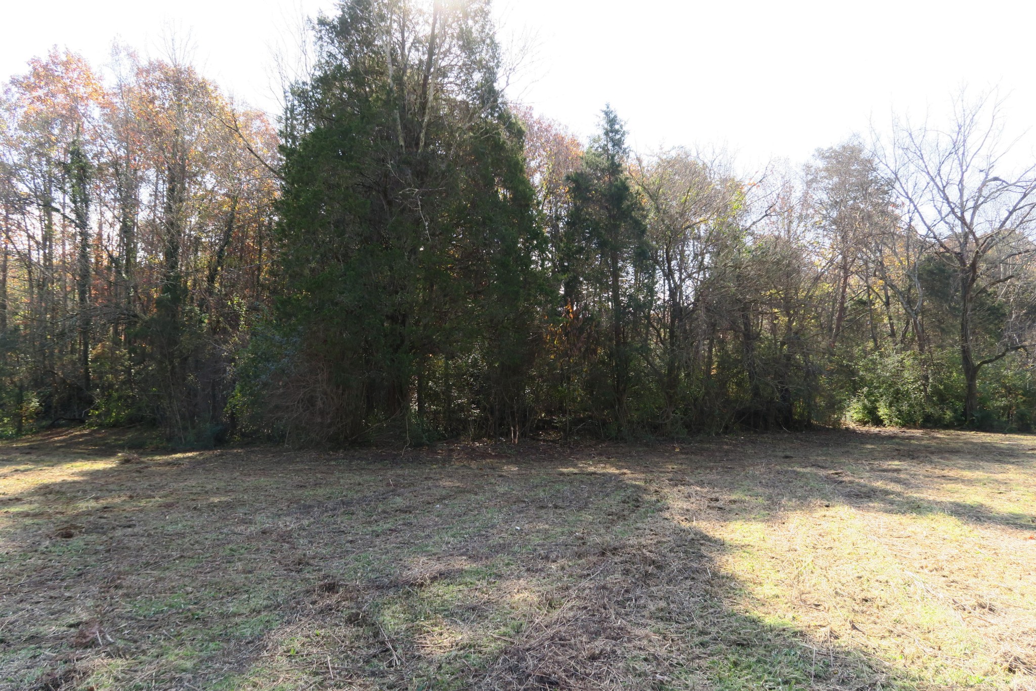 4461 Floyd Lee Road Friendsville, TN 37737 - Photo 16 of 35 Gallery Image 16