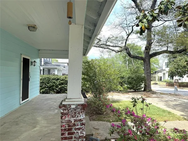 a view of a garden with plants