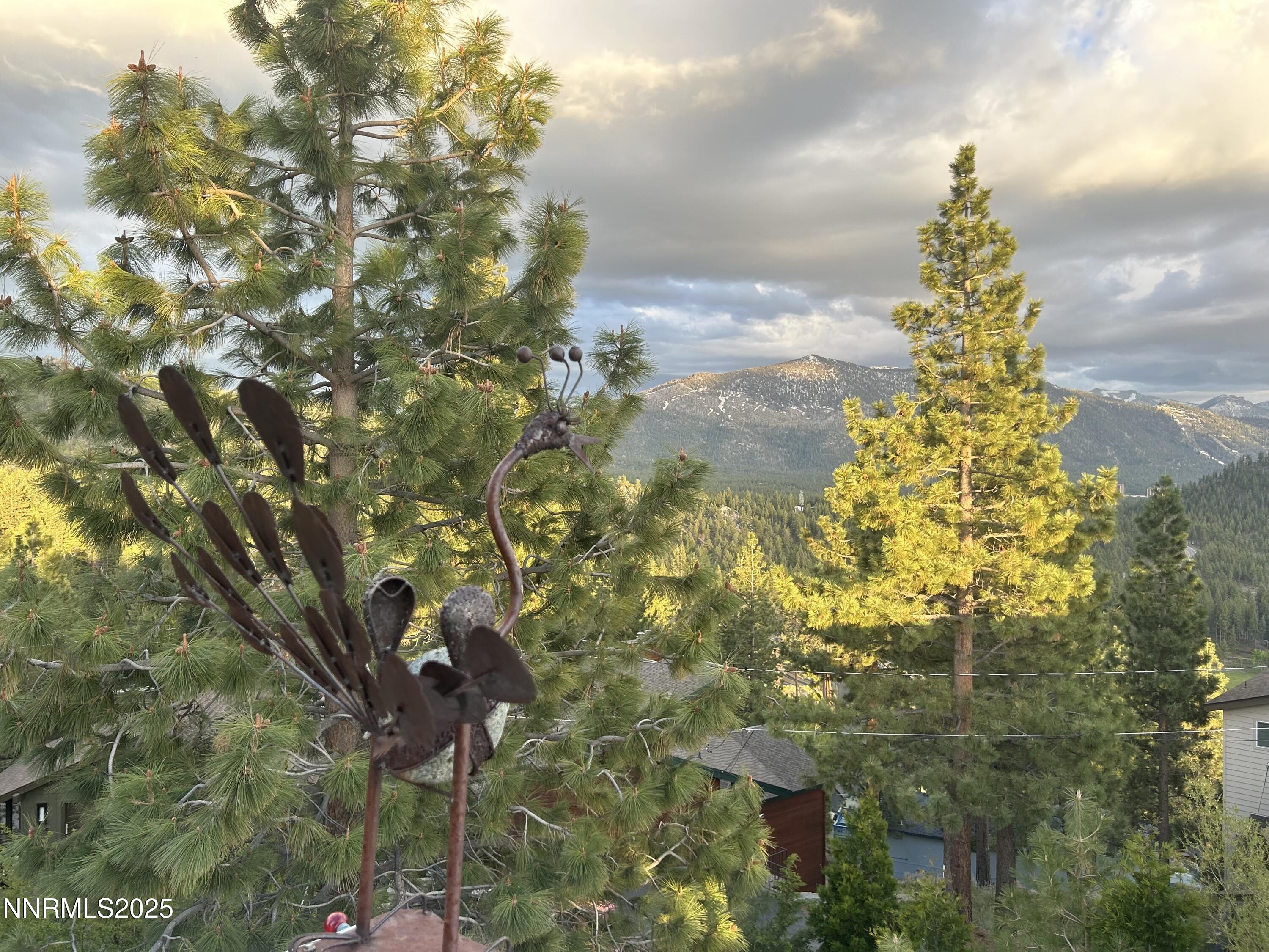 664 Lookout Road Zephyr Cove, NV 89448 - Photo 6 of 10 a picture of a tree