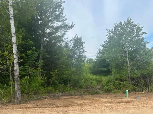 $47,900 | Lot 12-blk Brummer Drive, Randall, MN 56475