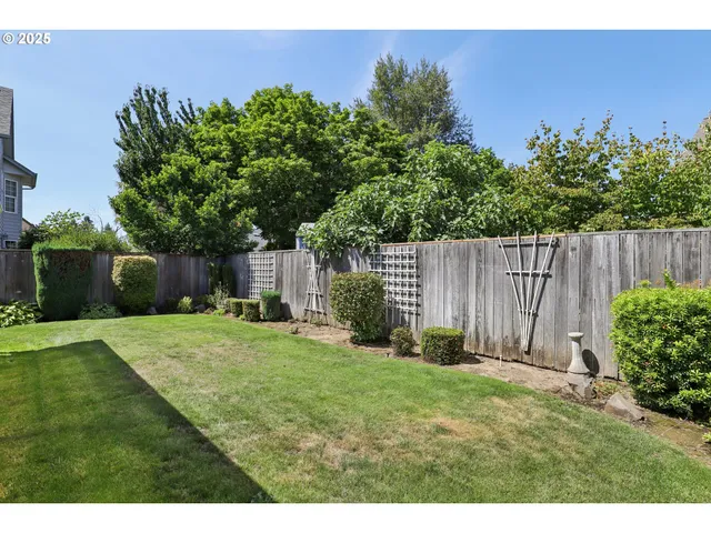 a view of a backyard with potted plants and large tree