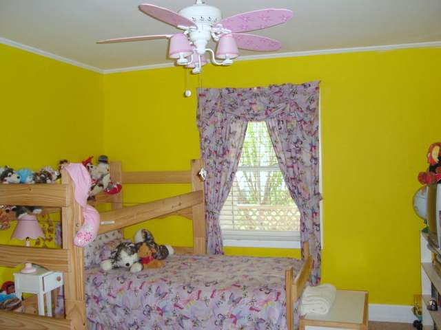 438 South Elm Street Pendleton, SC 29670 - Photo 8 of 12