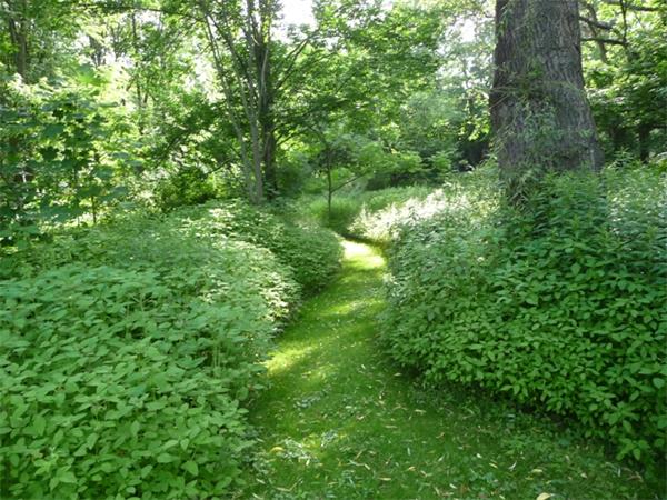 81 Center Bridge Road Lancaster, MA 01523 - Photo 27 of 29