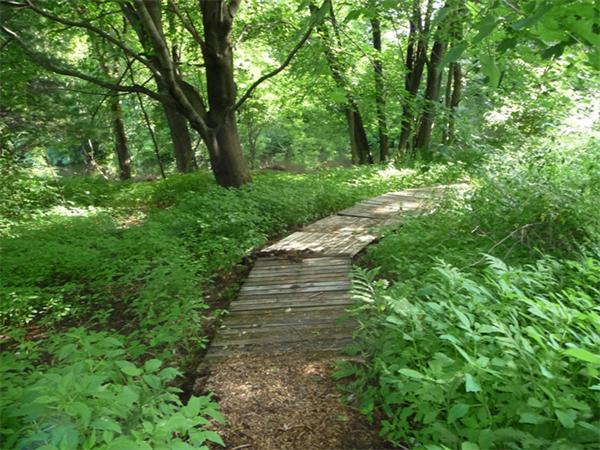 81 Center Bridge Road Lancaster, MA 01523 - Photo 28 of 29