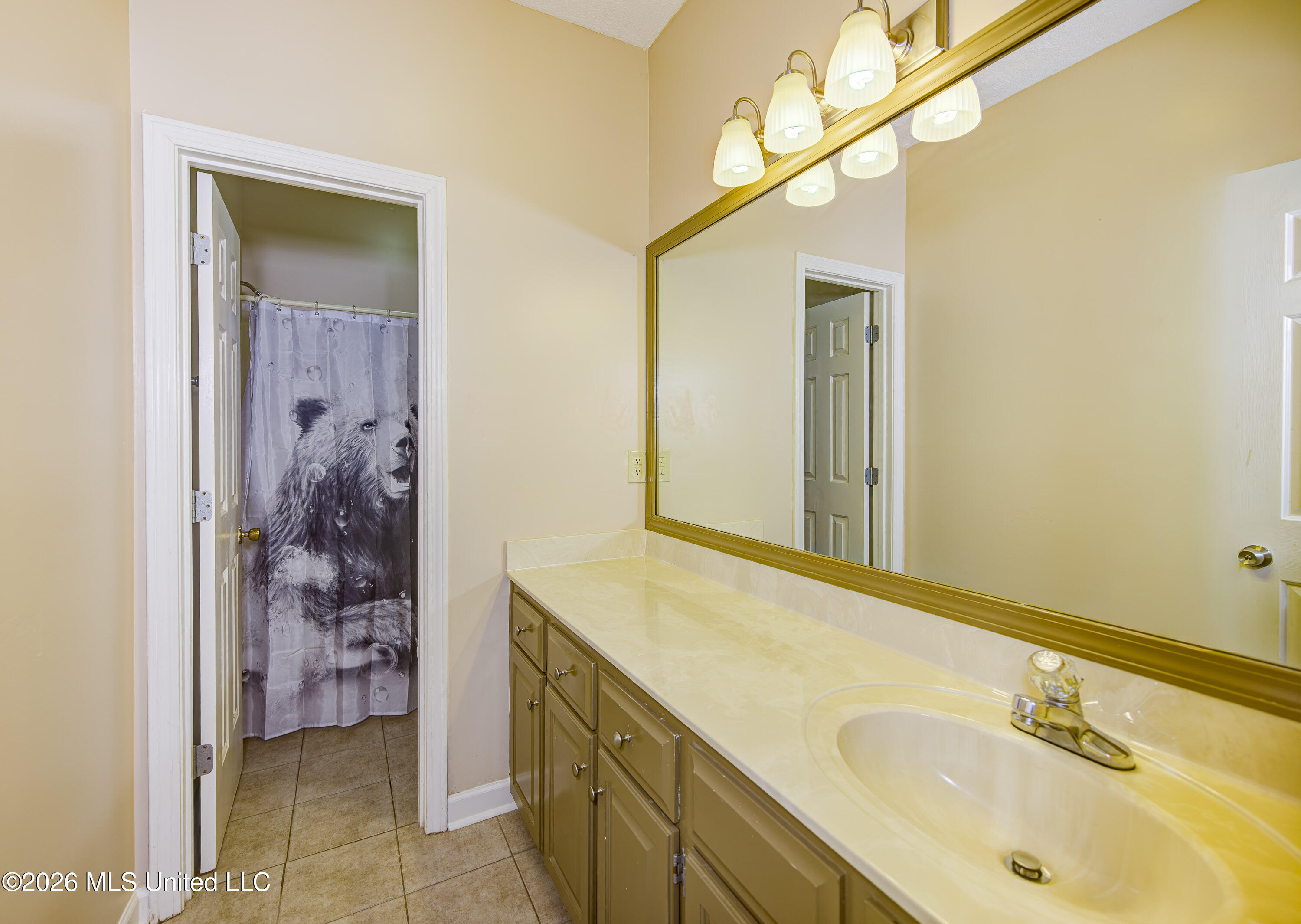 6003 Queens Point Vicksburg, MS 39180 - Photo 30 of 47 Third Bathroom 1
