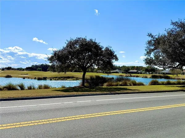 a huge green field with lots of trees