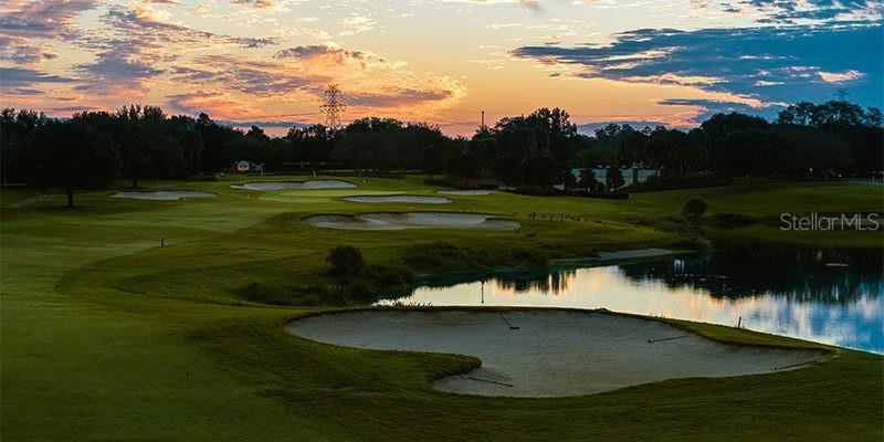 3088 Berwyn Way The Villages, FL 32162 - Photo 46 of 60 a view of a golf course with a lake