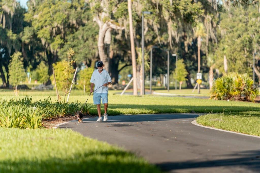 3088 Berwyn Way The Villages, FL 32162 - Photo 60 of 60 a view of a park with large trees
