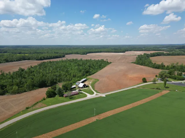 a view of a garden with an trees