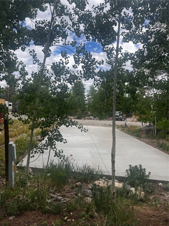 a view of a pathway with a yard