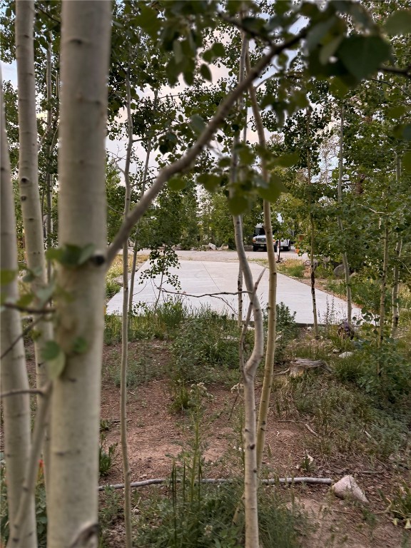228 Sunshine Loop Fairplay, CO 80440 - Photo 2 of 12 a view of a forest filled with trees